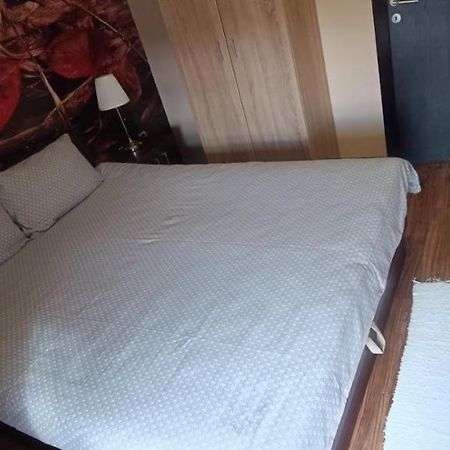 Apartment Vila Sandra Zlatibor Bagian luar foto