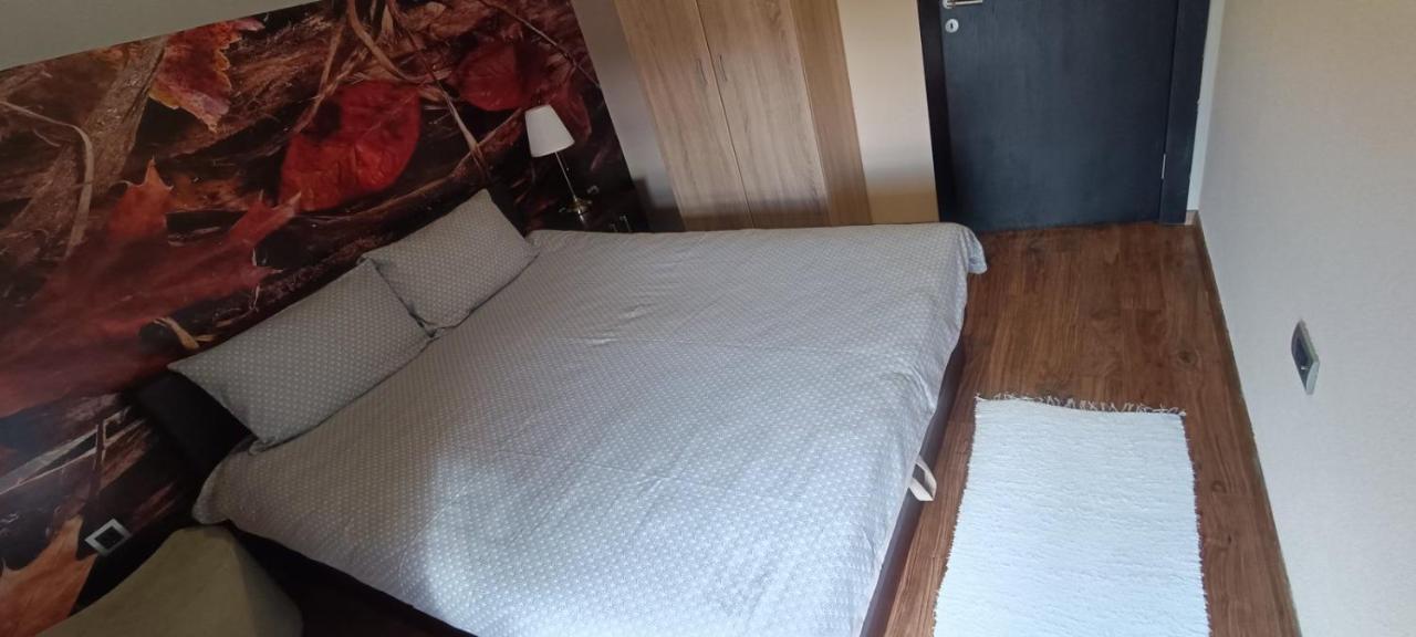 Apartment Vila Sandra Zlatibor Bagian luar foto